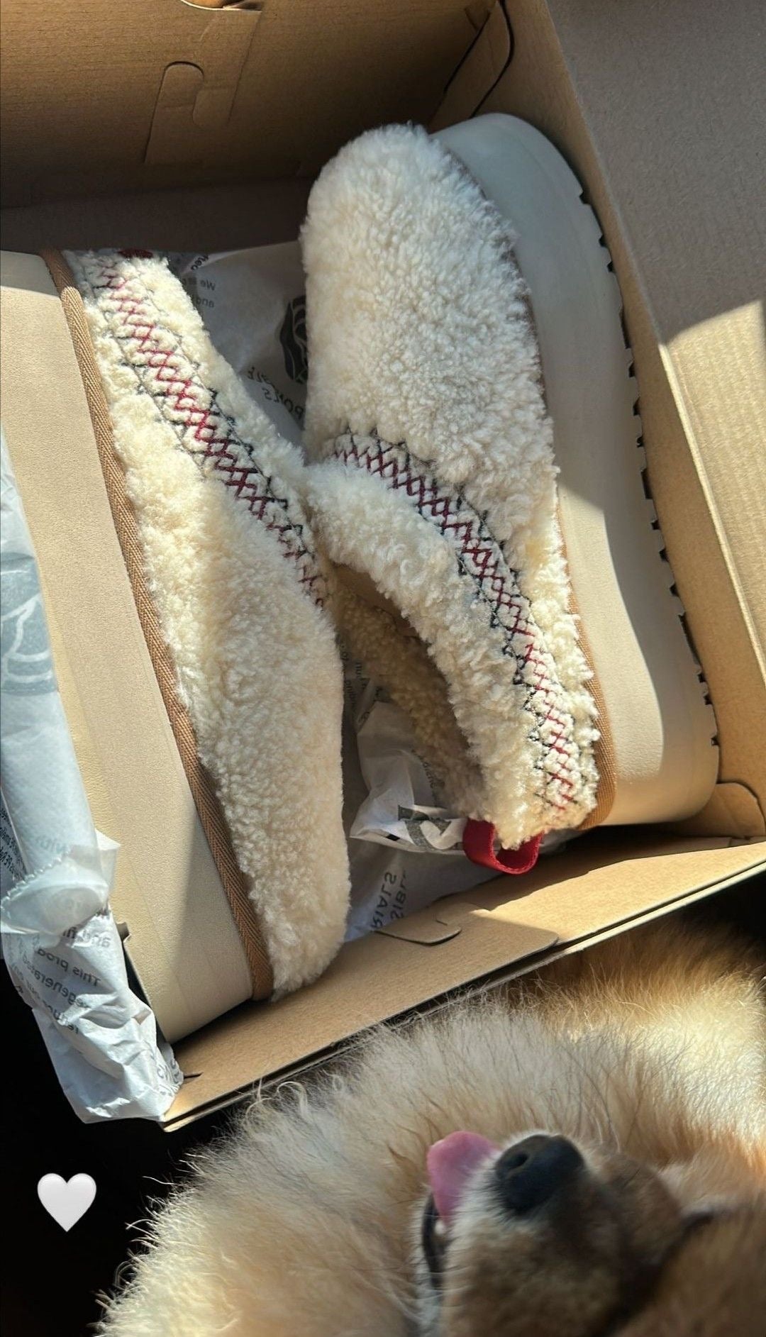 Ugg Tazz Platform Slippers sheep - Sneakers Club EU | Authentic Sneakers Online  Nike, Adidas, Jordan & More